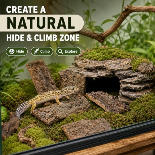 SHINEOFI 4 Pack Natural Cork Bark Reptile Hides for Terrariums | Random-shaped bark pieces for hides, basking platforms and enclosure landscaping for geckos, lizards, snakes and tortoises