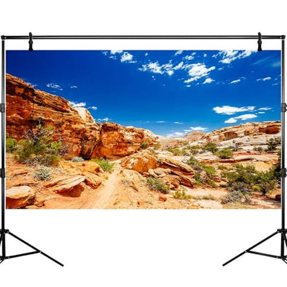 Desert Reptile Tank Background Blue Sky Rock Boulders Terrarium Background Desert Landscape Reptile Terrarium Background Rocky Bush Reptile Habitat Background Bearded Dragon Tank Background 24x12in - color: Blue, size: 24(W)x12(H)inches/ 60(W)*30cm(H)