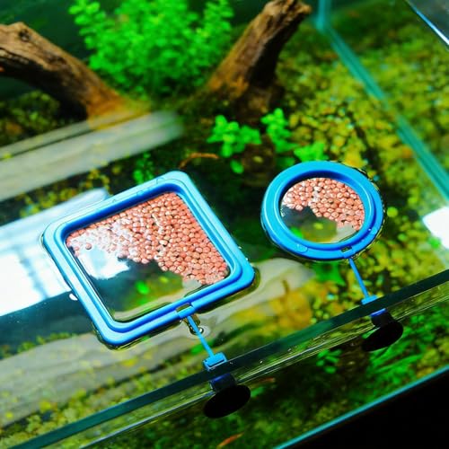 Betta Fish Feeding Ring: 2-Pack Floating Food Holder | with Suction Cup - Prevents Food from Entering The Filter - Aquarium Accessories for Betta Goldfish Guppy Turtle