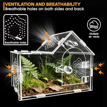Acrylic Jumping Spider Enclosure with Magnetic Lock – Clear Ventilated Terrarium Box for Tarantulas, Geckos, Mantises, Hermit Crabs, Snails, and Other Small Pets (7.9 x 4 x 6 Inch) - size: 7.9" x 4" x 6"