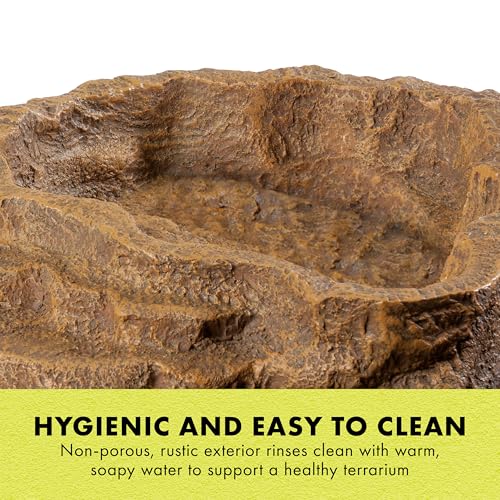 Zilla Terraced Dish, Reptile Feeding Dish, Stable and Spill-Resistant, Ideal for Geckos, Skinks, Snakes and Lizards, Large - size: Large
