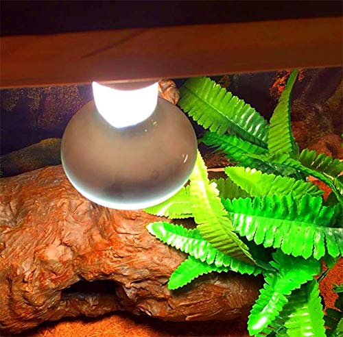 100W UVB UVA Reptile Heat Lamp Bulbs,100W Amphibian Terrarium Basking Spot Lamp,Simulate Natural Sunlight UVA Daylight for Bearded Dragons, Lizards, Turtles, and Snakes,2 Pack