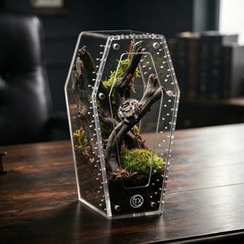 Installation-Free Acrylic Coffin Jumping Spider Enclosure - Gothic Terrarium Habitat with Magnetic Lid, Micro Reptile Breeding Box for Slings, Mantis, Isopods and Small Insects - color: transparent