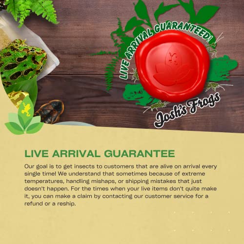 Josh's Frogs 3/4" Banded Feeder Crickets for Pets (500 Count) | Long Storage Protein Food Crickets, Healthy Active Prey for Leopard Geckos, Bearded Dragons, Tree Frogs, Frogs, Birds, Bats