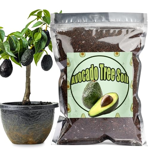 Organic Avocado Tree Potting Soil Mix 2qt, Enhance Growth and Transplant Success for Avocado Plants - size: 2qt