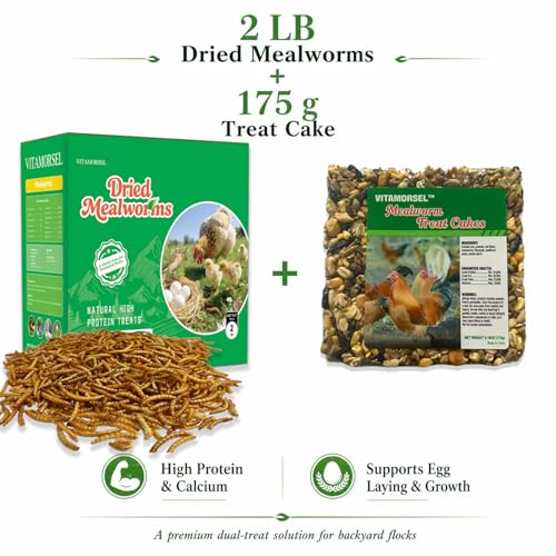 2LB Dried Mealworms with 175g Pecking Treat Cake for Chickens | Ducks & Wild Birds - High Protein Natural Poultry Treats
