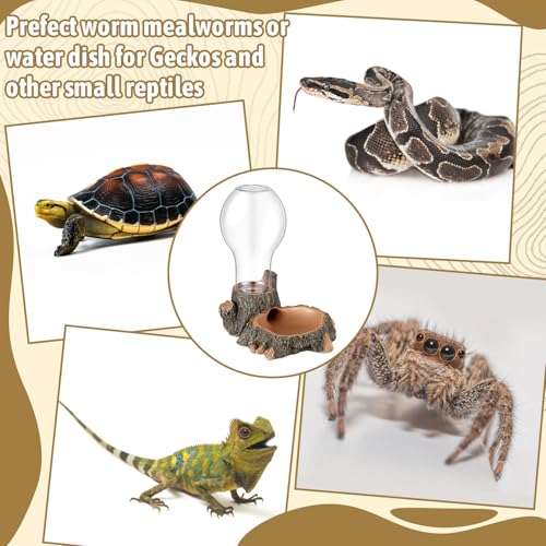 Briwooody 2 Pcs Automatic Reptile Water Dispenser 13.5 oz Large Bearded Dragon Water Bowl Reptile Dish Feeder for Terrarium Tank, Turtle, Geckos, Frog, Tortoise, Amphibians, Lizards