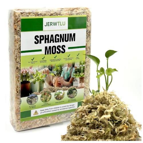 Natural Long Fiber Sphagnum Moss 34QT for Orchid Potting Mix, and Moss Pole for Plants Indoor. Ideal for Propagating Plants, Maintaining Humidity for Reptiles, Isopods in Paludarium, Aquascape (10 OZ)
