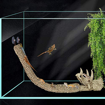 Tfwadmx Large Reptile Dinosaur Skull Decor, Bearded Dragon Tank Accessories, Lizard Hammock Hanging Plant Decor, Tank Decor for Bearded Dragons, Lizards, Chameleons, Geckos, Snakes(3Pcs)