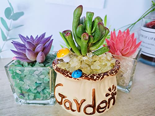 ZHIYUXI Citrine Crystal Chips Fish Tank Gravel Vase Filler Stones Bulk Crushed Crystals Gemstone Polished Natural Quartz Stone Healing Crystals Glass Stones Fish Rocks - color: H# Citrine, size: 0.22lbs