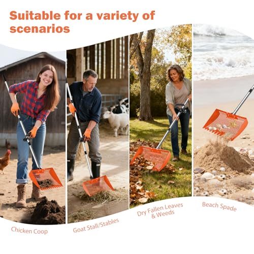 12inch Chicken Poop Scooper & Rake 2-in-1 with Adjustable Handle | Heavy Duty Metal Chicken Coop Scoop for Sand, Adjustable Angle Stainless Steel Chicken Coop Rake Sifting Shovel 37-64",Orange - color: Orange