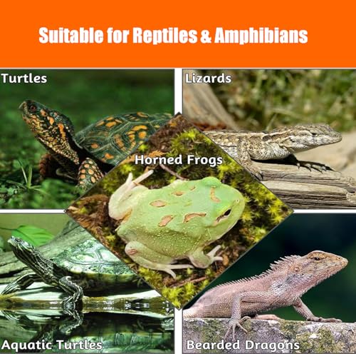 Standing Turtle Basking Platform, Plastic Short Legs Turtle Floating Platform for Low Water Level Tank, 14" Width Resting Area, Docks for Basking with DIY PVC Pipes, Ramp for Reptile Frog Terrapin