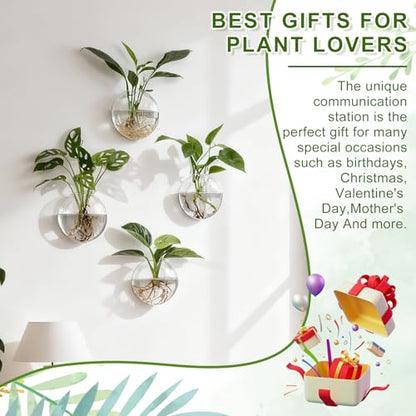 Wall Propagation Planters, 4 Pack Oblate Hanging Plant Holder Vase | Glass Terrariums Station, Hydroponic Indoor Flowers, Excludes Plants, Bathroom Living Room Office Decor, Gift for Plant Lover - size: 5.1"L x 2.4"W x 5"H