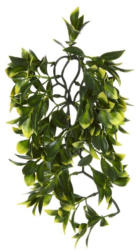 Hagen Exo Terra Plastic Terrarium Plant, Medium, Mandarin - color: Mandarin, size: Medium