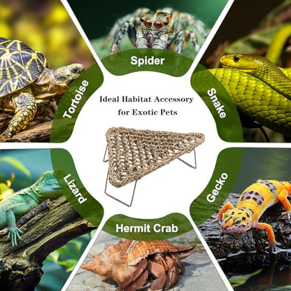 Bearded Dragon Hammock - Reptile Bed Tank Accessories with Collapsible Metal Legs - Basking Platform and Decor for Lizards, Leopard Gecko, Snake, Hermit Crab, Frog - Seagrass Material - Triangle Shape