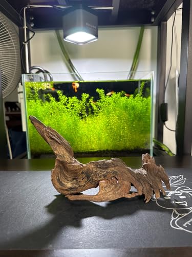 AWXZOM 4pcs 5-6inch Natural Driftwood for Aquarium Driftwood Pieces Small Aquarium Driftwood for Reptile Fish Wood Decor