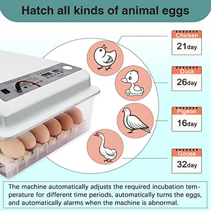 Incubators for Hatching Eggs, Egg Incubator with Automatic Egg Turning and Humidity Control, Egg Incubator for Chicken Quail Duck Pigeon Eggs(36 Eggs)