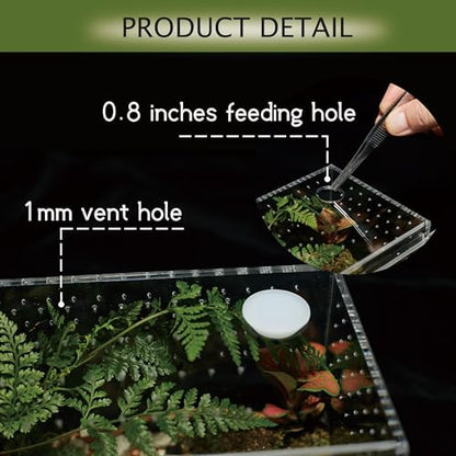 Acrylic Terrarium for Reptiles & Spiders – Small/Medium/Large Leak-Proof Enclosure (Horizontal/Vertical) | Ideal for Tarantulas, Jumping Spiders, Frogs & Geckos(Large, Vertical) - size: Large