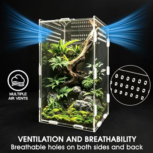 Jumping Spider Enclosure, Insect Terrarium, Bug Cage, Acrylic Terrarium for Tarantula, Snail, Praying Mantis, Frog, and Small Reptiles, Includes Tweezer and Bowl, (5.9" x 5.9" x 9.8") - size: 5.9" x 5.9" x 9.8"