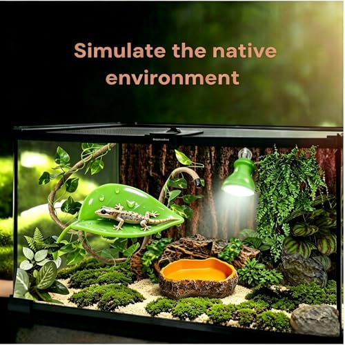 Bearded Dragon Tank Accessories, Terrarium Decor, Ball Python | Leopard gecko,Crested gecko, Chameleon cage accessories,Terrarium plants,Reptile decor,Starter kit,Snake decor,Hermit crab