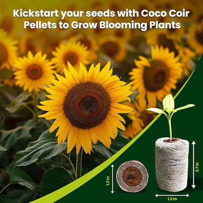 Organic Coco Coir Seed Starter Pellets NPK Enriched 50 Pcs, 35mm Perfect to Grow Herbs, Vegetables, Flowers,Fruits Seedlings, Compressed Coconut Coir Soil Plugs - Easy to Transplant in Pot - size: 50 Pack - NPK Enriched Seed Starter Pellets