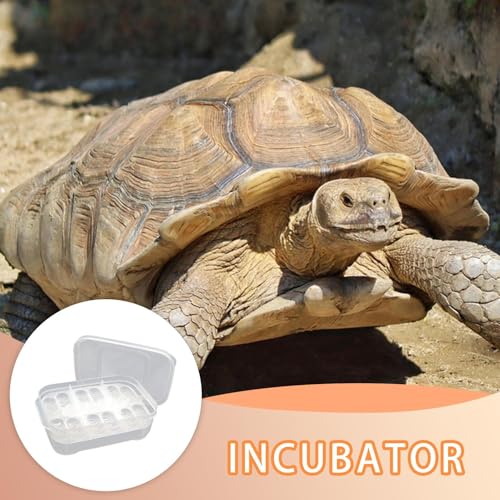 Reptile Breeding Incubator 12 Grids Reptile Egg Incubator Tray | Transparent Amphibians Incubation Tray for Gecko Lizards Snake Lions Mane