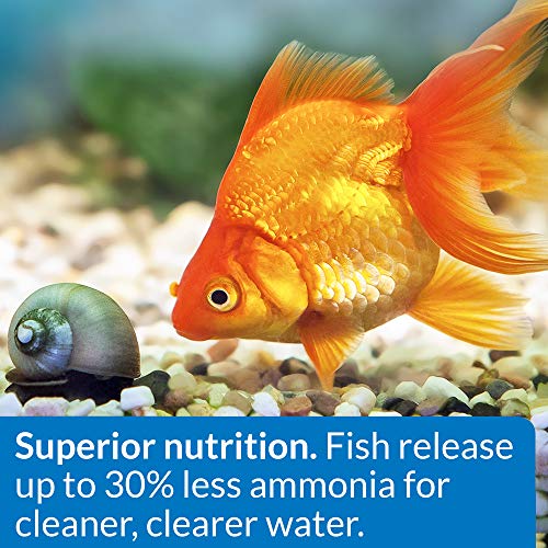 API GOLDFISH PELLETS Fish Food 4-Ounce Container, Medium, Model:833B - size: 4 Ounce (Pack of 1), style: Goldfish