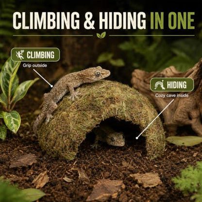 17 Pcs Bearded Dragon Tank Accessories Hermit Crab Accessories Natural Habitat Toy Artificial Moss and Plants Suction Cups for Lizard Chameleon Leopard Gecko Reptile Amphibian Tank Decoration - style: Mossy Style