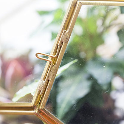 NCYP Glass Geometric Terrarium Planter with Door and Foot, Pentagon Ball Shape Glass Terrarium for Fern, Succulents, Small Plants, Gold, 6.8 x 6.8 x 5.9 inches (No Plants)