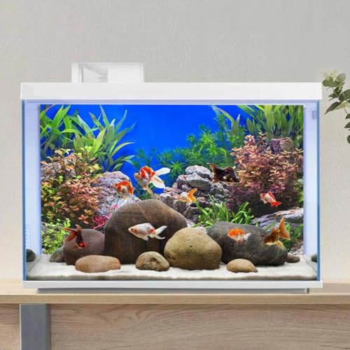 AWERT 48x24 inches Aquatic Plant Fish Tank Background Stone River Bed & Lake Aquarium Background Vinyl - size: 48x24in/120x60cm