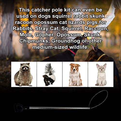 Yorikyas Animal Catch Pole Control Tool Kit -44 inch | for Dogs Feral Cat Raccoons Hog Pig Fox Coyote Bulldog Wolf Goat Calf Catching