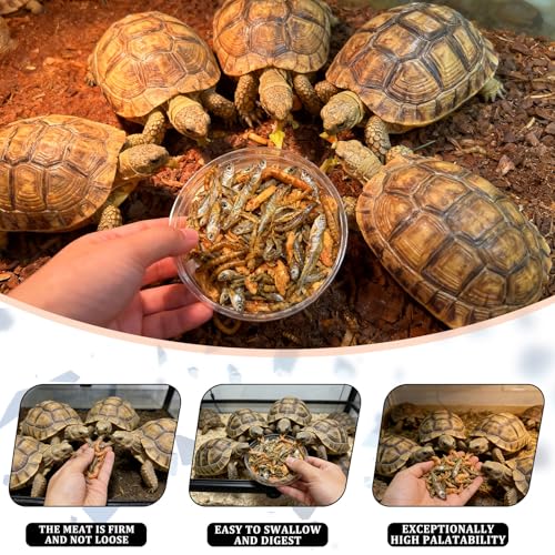 Turtle Food for Reptiles, 3 oz Canister - 3-in-1 Blend of Dried Mealworms, River Shrimp & Fish - Turtle Treats with High Protein, Reptile Treats for Aquatic Turtles (3 oz)