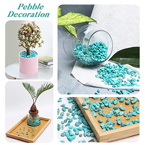 QICQDRAM Polished Gem Stones Rocks Howlite Turquoise Crystals Natural 1LB | Small Tumbled Stones Crystal Chips Bulk for Healing Crystals Fish Tank Gravel Vase Filler (405g/14.28oz) - color: Turquoise