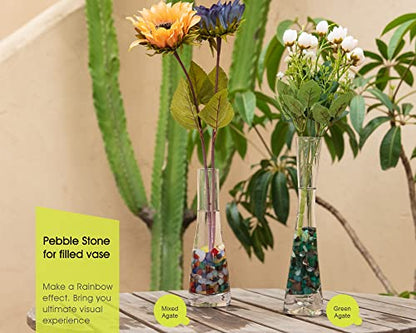 RIFNY Decorative Polished Rocks, 0.3" Gravel Rocks Crushed Crystal for Plant Flower Pots Succulents Cactus Bamboo Plant Vase Filler Aquarium Fish Tank Decorations and DIY Craft (1.5 LB, Green) | for Plant Flower Pots Succulents Cactus Plant Vase Filler Aq