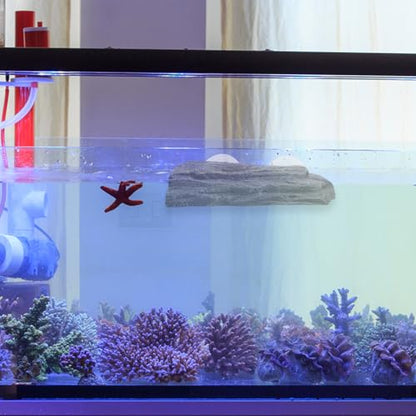 Reptile Tank Decoration Turtle Basking Platform Floating Island Terrace Suction Cups