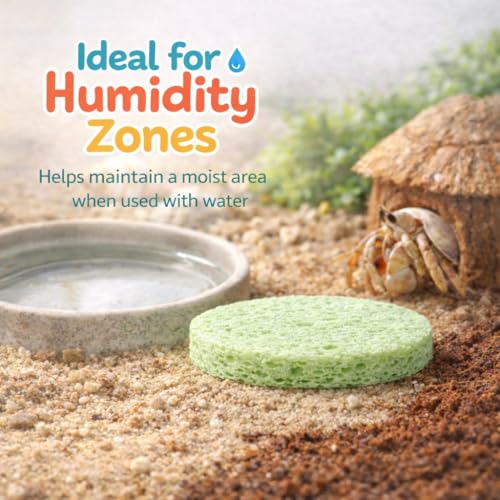 Green Sponge Accessories for Hermit Crab Habitat, Moisture Supply for Maintaining Tank Humidity, 10PCS