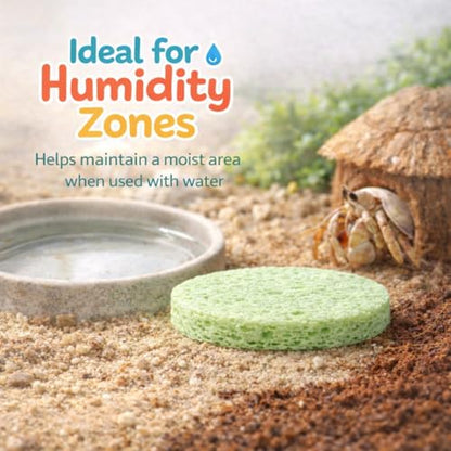 Green Sponge Accessories for Hermit Crab Habitat, Moisture Supply for Maintaining Tank Humidity, 10PCS
