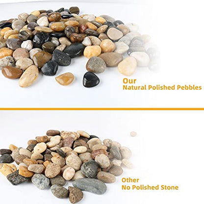 Pebbles for Plants 18 lb Natural River Rocks Garden Decorative Stones Outdoor Aquariums Gravel 1-1.5 Inches - size: 18LB, style: Colour
