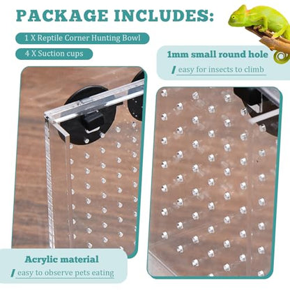 Weysat Reptile Corner Hunting Bowl, Transparent Acrylic Reptile Feeder Box with 4 Suction Cups, Tank and Aquarium Accessories for Lizard Bearded Dragon Chameleon Gecko Frog, 3.9 x 3.9 x 6.1 Inches