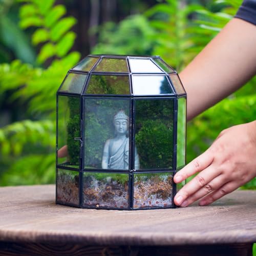 NCYP Half Dome Geometric Glass Terrarium with Door, Closed Moss Planter Pot, Miniature Landscape Container, Indoor Tabletop Decor, Black (Terrarim Only)