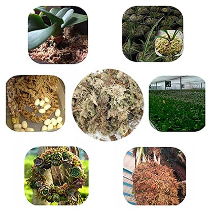Sphagnum Moss Dried Spagnum Dry Moss for Reptiles Bedding and Terrarium Pet Supplies Sphagnum Moss for Plants Sphagnum Moss for Reptiles 150g