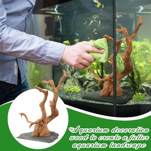 AceOrbit Large Driftwood for Aquarium, 8.5-11.5 Inch Spider Wood on Slate Stone, Natural Spiderwood Aquarium Driftwood Aquascaping Wood for Reptile Enclosure, Terrarium, Reptile Tank, Fish Tank Decor