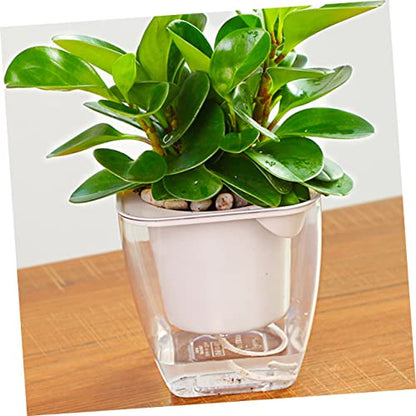 LIOOBO Flower Pot Self-Watering Planter Large Indoor Plant Pot Plastic Easy Care Decorative for Office Home