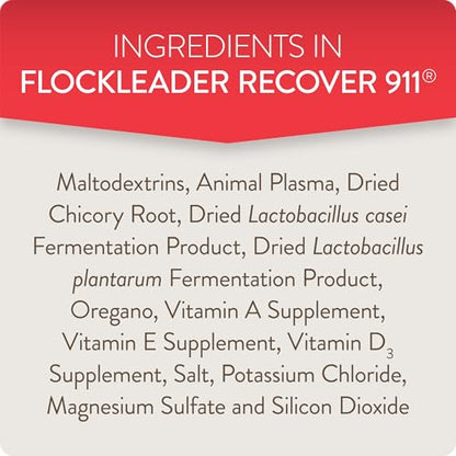 Recover 911, Poultry Water Supplement for Flock Emergencies,8oz | Use during flock challenges like extreme temperatures, predator attacks, molting, introducing new chickens & feather pecking. - size: 8 Ounce (Pack of 1), style: Recover 911