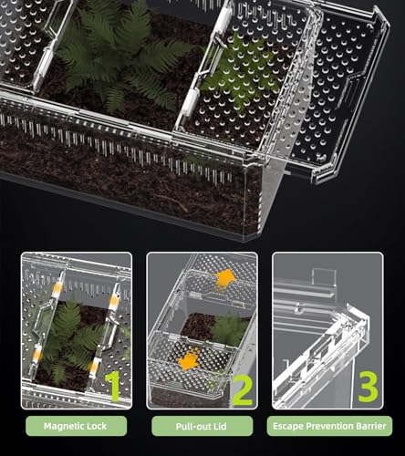 XIGETRAIL Transparent Portable Reptile Terrarium Habitat, Reptile Feeding Box for for Gecko, Tarantula, Scorpion, Spider, Hermit Crab,Frog (12" x 7.7" x 5.1" White)