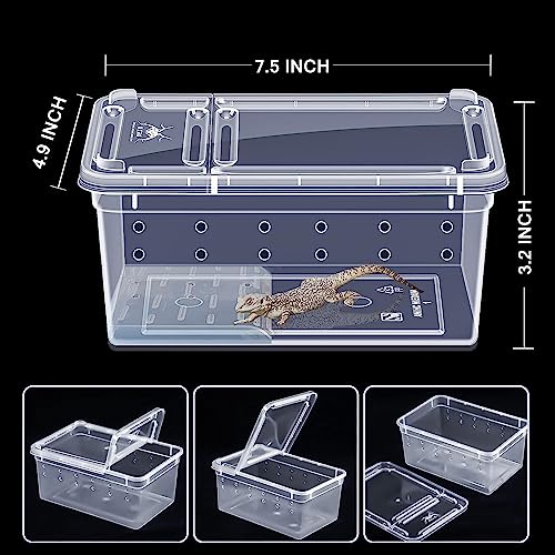 Critter Keeper Ant Farm Cane Toad Trap Little Live Pets Bug Catcher Kit for Kids Frog Habitat Turtle Tank Reptile Terrariums Lizard Cage Fish Bowl Beach Aquarium Catch and Release - size: 2
