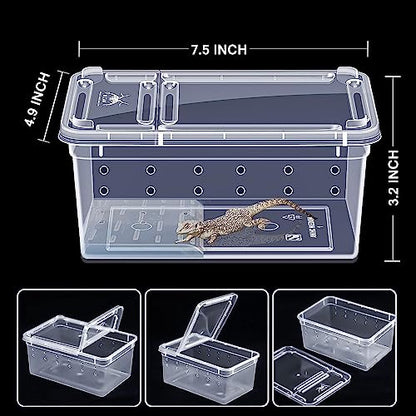 Critter Keeper Ant Farm Cane Toad Trap Little Live Pets Bug Catcher Kit for Kids Frog Habitat Turtle Tank Reptile Terrariums Lizard Cage Fish Bowl Beach Aquarium Catch and Release - size: 2