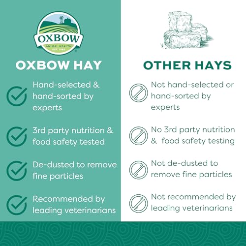 Oxbow Orchard Grass Hay, Rabbit & Guinea Pig Hay, High Fiber for Digestive Health, Grown in the USA, Veterinarian Recommended Small Pet Supplies, for Rabbits, Guinea Pigs, & Chinchillas, 15 oz. | Hand-Sorted, De-Dusted, Oxbow Orchard Grass Hay, Bunny Hay