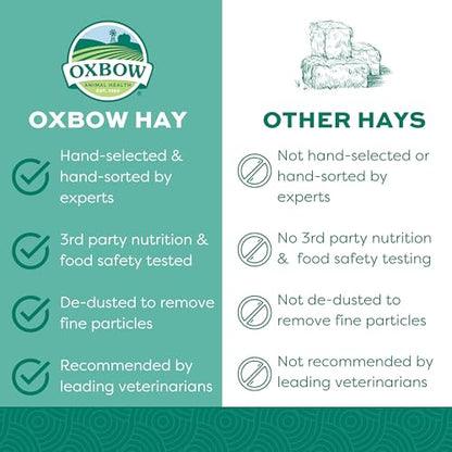 Oxbow Orchard Grass Hay, Rabbit & Guinea Pig Hay, High Fiber for Digestive Health, Grown in the USA, Veterinarian Recommended Small Pet Supplies, for Rabbits, Guinea Pigs, & Chinchillas, 15 oz. | Hand-Sorted, De-Dusted, Oxbow Orchard Grass Hay, Bunny Hay
