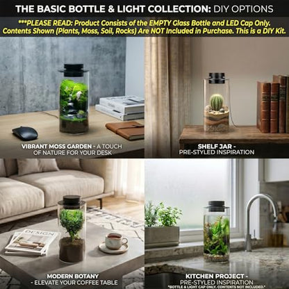 Desktop Glass Plant Terrarium with Grow Light for Carnivorous Plants & Moss | H7.8 x D4 in; Timer Auto On/Off; Miniature Gardening Display; Indoor Plant Decor; Office and Home Use; Gift for Plant Lovers.